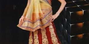 Net Wedding Lehenga