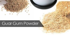 Guar Gum Powder