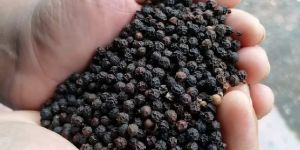 Black Pepper Husk