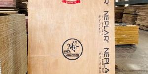 Neplar Ply MR Grade Plywood