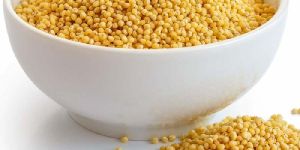 Organic Foxtail Millet