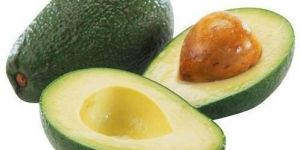 Organic Avocado