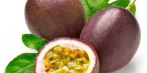 Passion Fruit