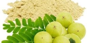 Amla Powder