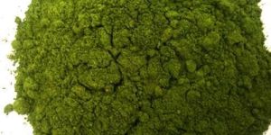 Dehydrated Curry Leaves Powder