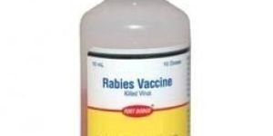Rabies Veterinary Vaccine