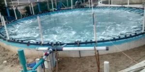 Aquaculture Air Blower