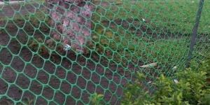 Forest Fencing Plastic Net