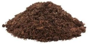 Cow Dung Powder