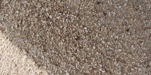 Oil Zaper Corn Cob Powder