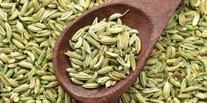 Fennel Seeds