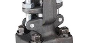 Forged Steel Globe Valve