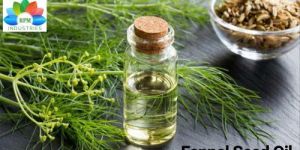 Fennel Oil