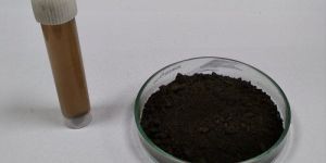 Copper Oxide Nanoparticles