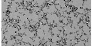Iron Oxide Nanoparticles