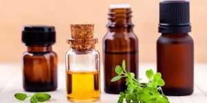 Antibacterial Essential Oils