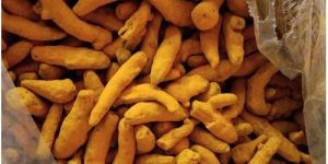 Salem Turmeric Finger