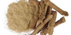 Punarnava Powder