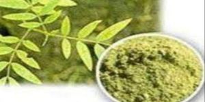 Sonamukhi Senna Powder