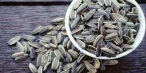 Sunflower Seed