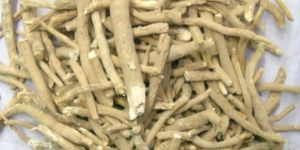Withania Somnifera Roots