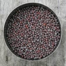 Organic Black Mustard Seeds