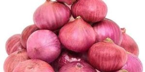 Fresh Red Onion