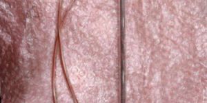 Refrigerator Glass Heater