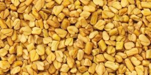 Fenugreek Seeds