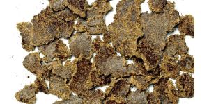 Cotton Seed Oil Cake