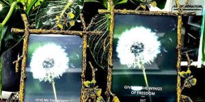 Decorative Photo Frame