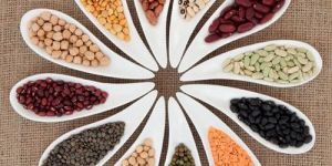Organic Pulses