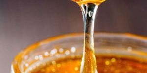 Sundarban Mangrove Honey