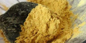 Dehydrated Ginger Powder