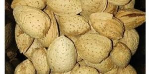 Kashmiri Almond