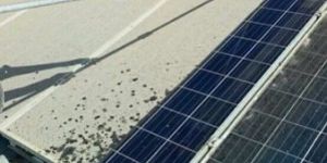 Solar Panel Cleaning System