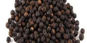 Black Pepper