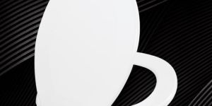 Plastic Toilet Seat Cover