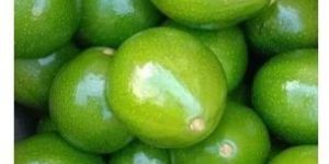 Fresh Organic Avocado