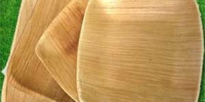 Square Palm Leaf Plate