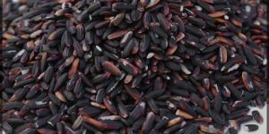 Black Rice