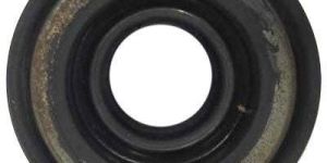 Rubber Oil Seal