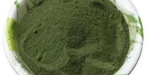 Spirulina Powder