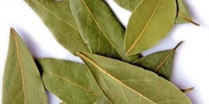 Bay Leaves