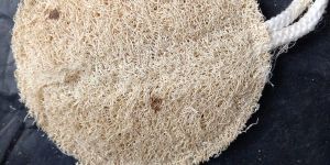 Circle Loofah Sponge