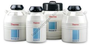 Cryogenic Storage Services