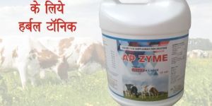 AP-Zyme Herbal Digestive Liquid