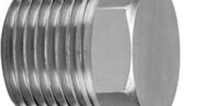 Stainless Steel Pipe Plug