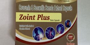 Zoint Plus Capsules