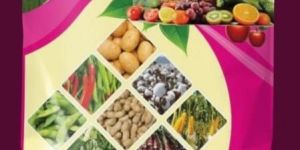 AXIO NPK 19:19:19 Powder